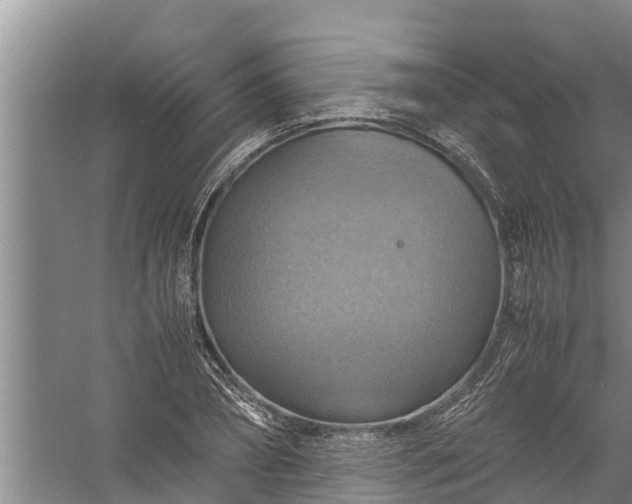 X0000058130882200510072002