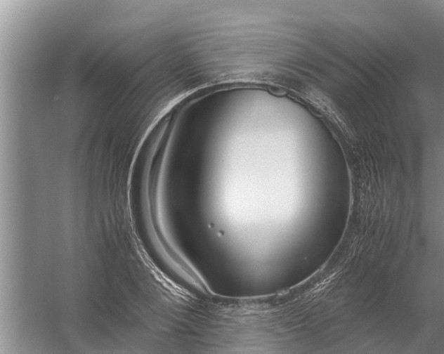 X0000058130884200510072002