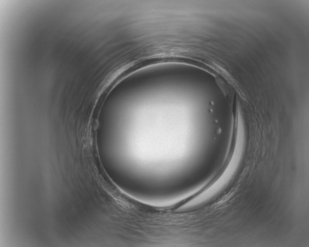 X0000058130885200510072002