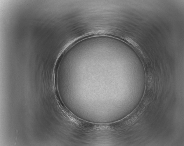 X0000058130886200510072002