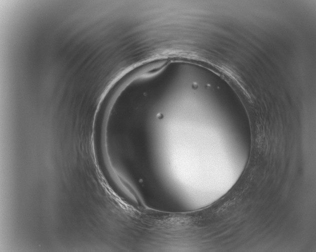 X0000058130888200510072002