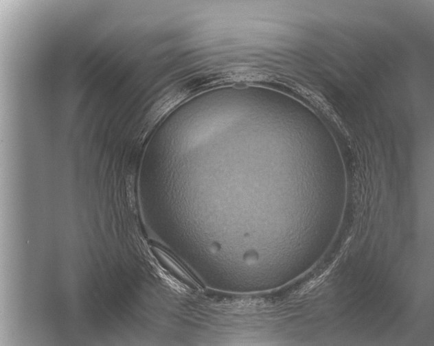 X0000058130889200510072002