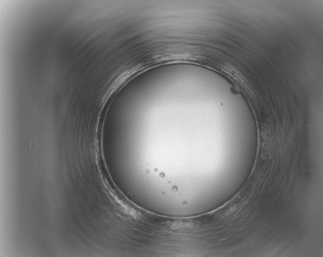 X0000058130890200510072002