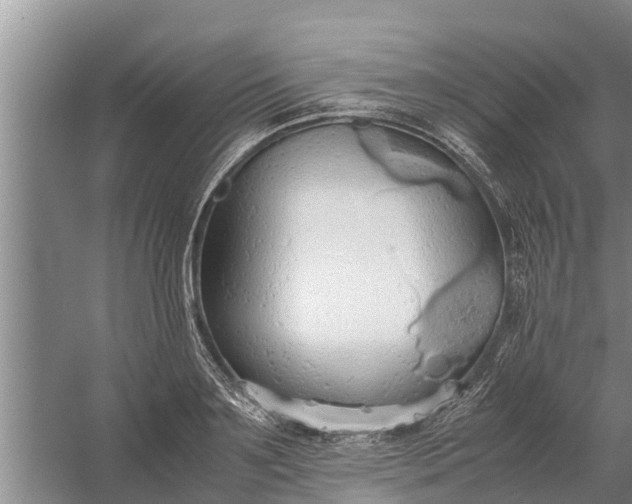 X0000058130891200510072002