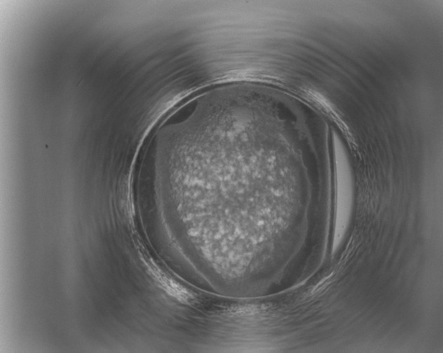 X0000058130892200510072002