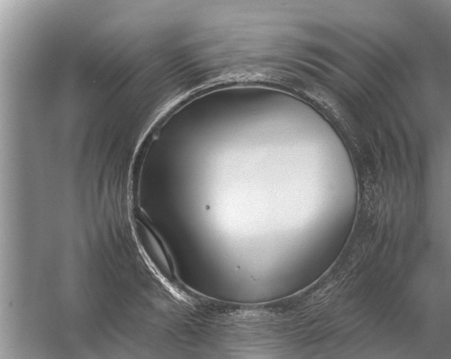 X0000058130894200510072002