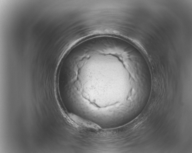 X0000058130895200510072002