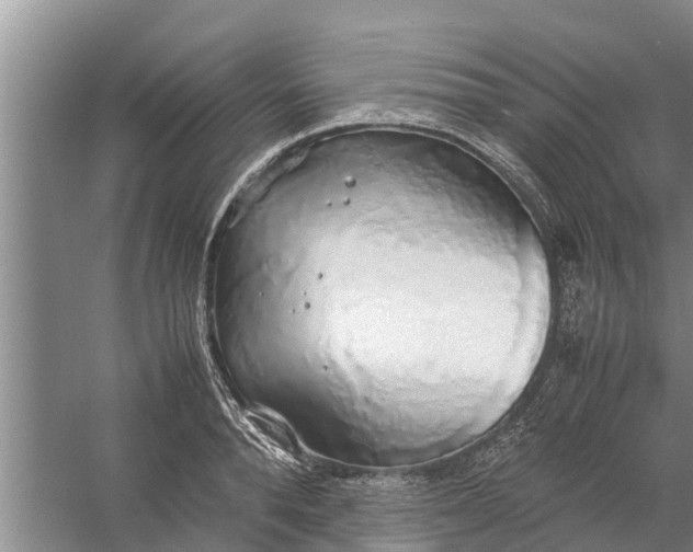 X0000058130896200510072002