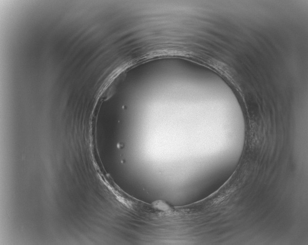 X0000058130898200510072002