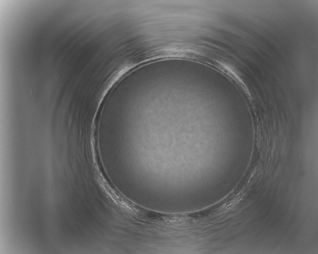 X0000058130899200510072002