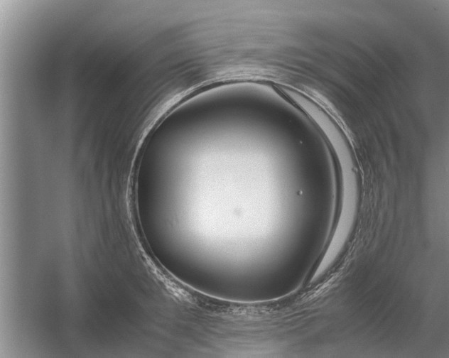 X0000058130901200510072002