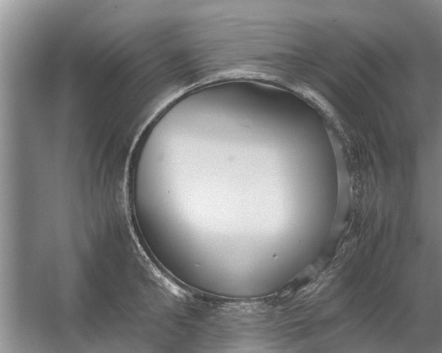 X0000058130902200510072002