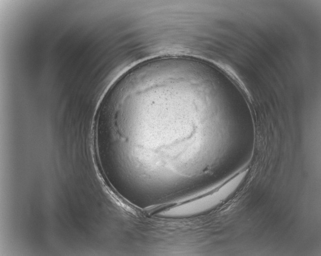 X0000058130903200510072002