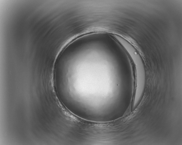 X0000058130904200510072002