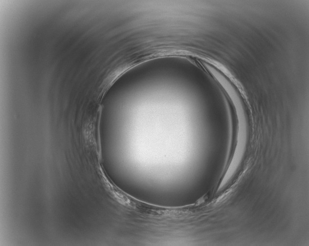 X0000058130905200510072002