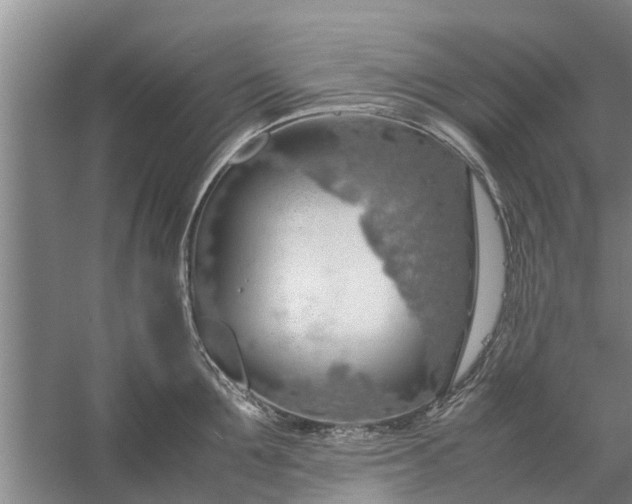 X0000058130907200510072002