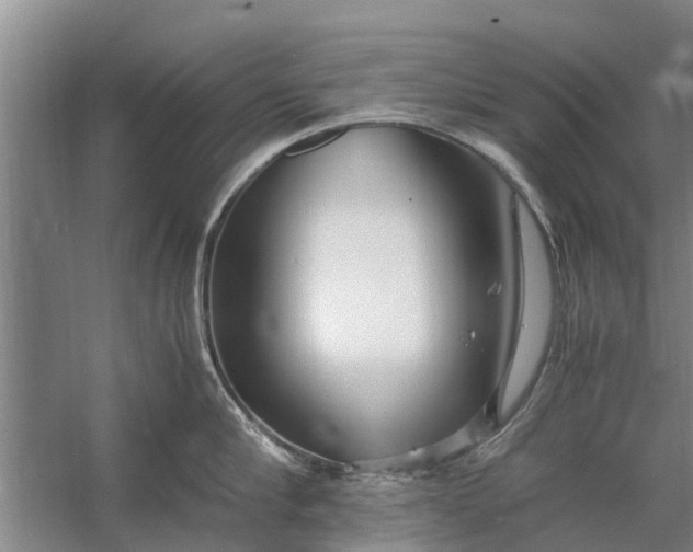 X0000058130910200510072002