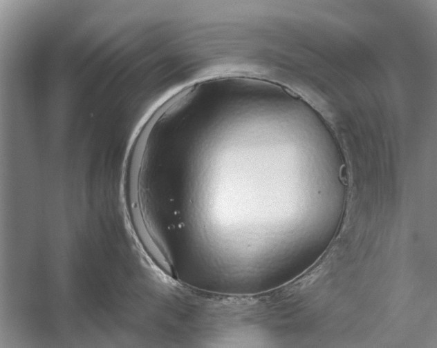 X0000058130912200510072002