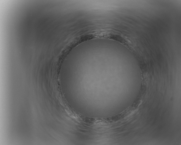 X0000058130913200510072001