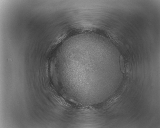 X0000058130916200510072001