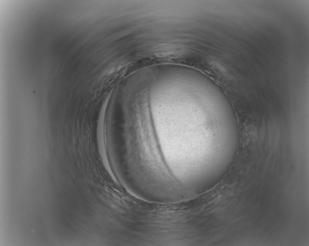 X0000058130917200510072001