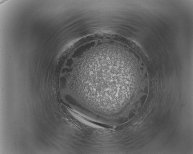 X0000058130919200510072001