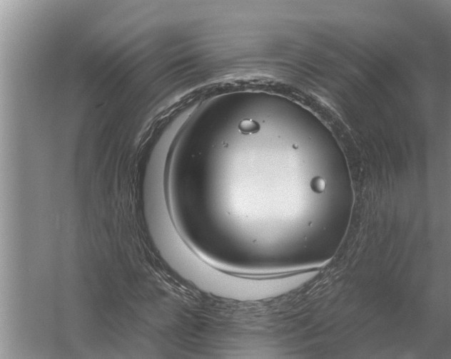 X0000058130920200510072001