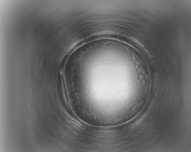 X0000058130921200510072001