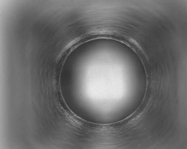 X0000058130922200510072001