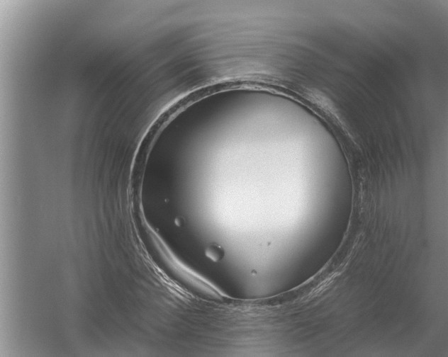 X0000058130924200510072001