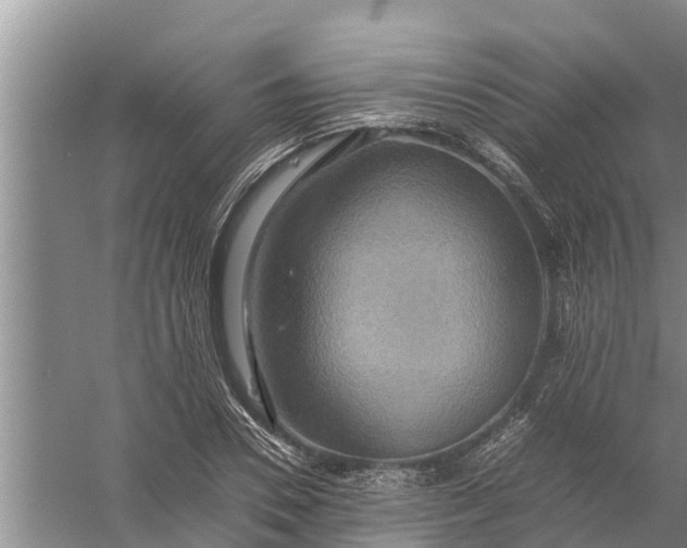 X0000058130930200510072001