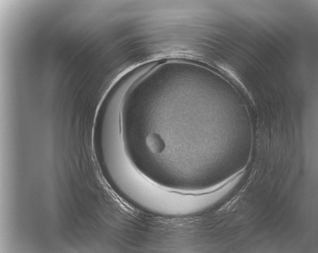 X0000058130932200510072001