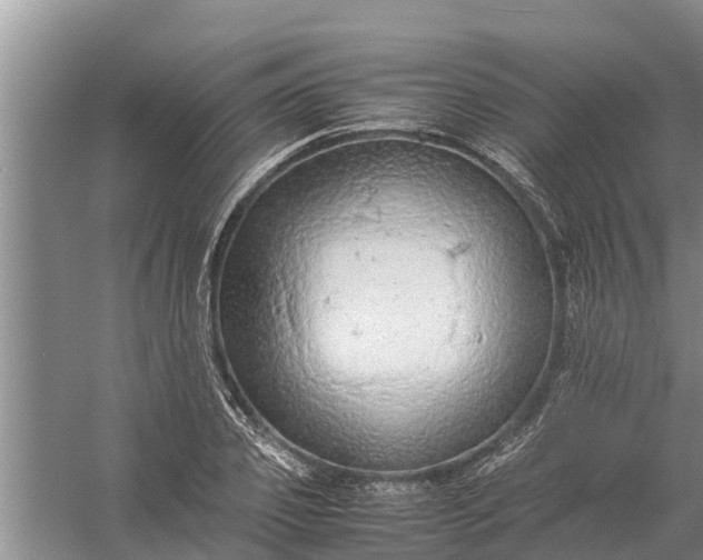 X0000058130933200510072001