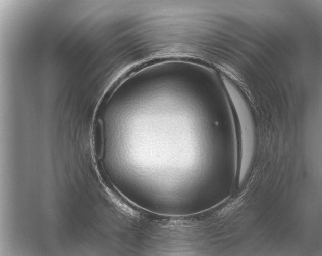 X0000058130942200510072001