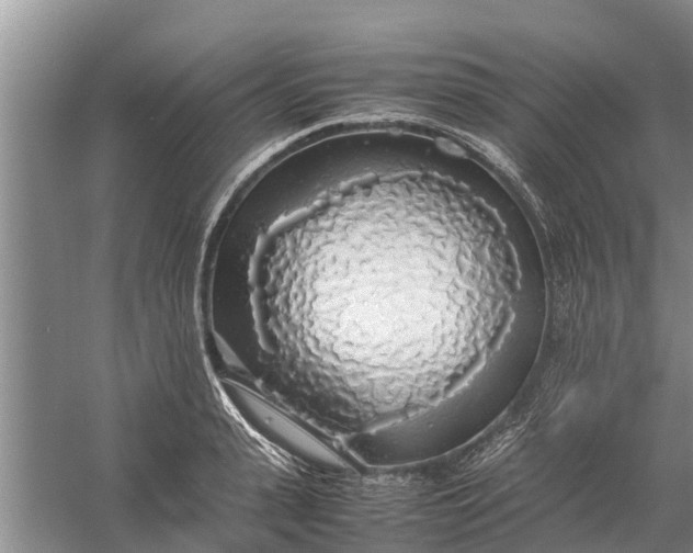 X0000058130943200510072001