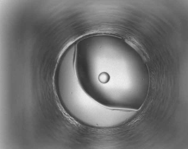 X0000058130944200510072002