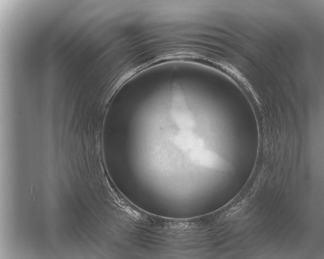 X0000058130945200510072002