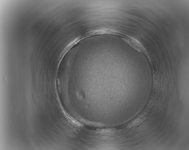 X0000058130946200510072002