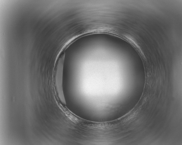 X0000058130948200510072002