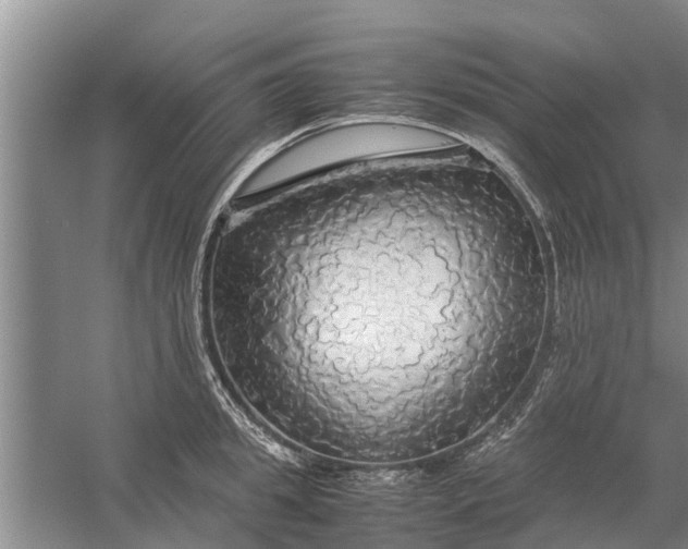 X0000058130949200510072002