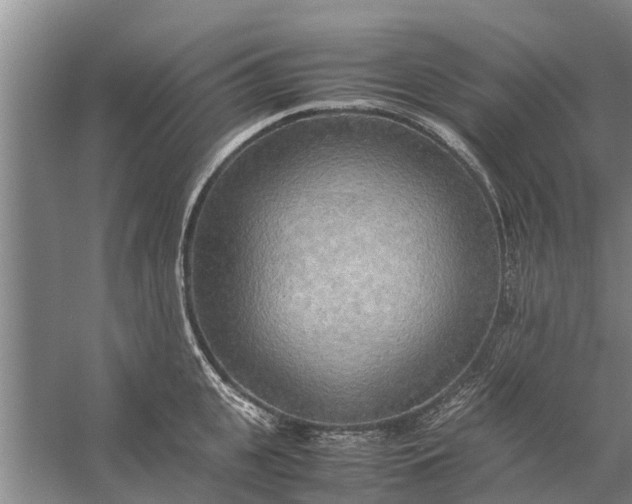 X0000058130951200510072002