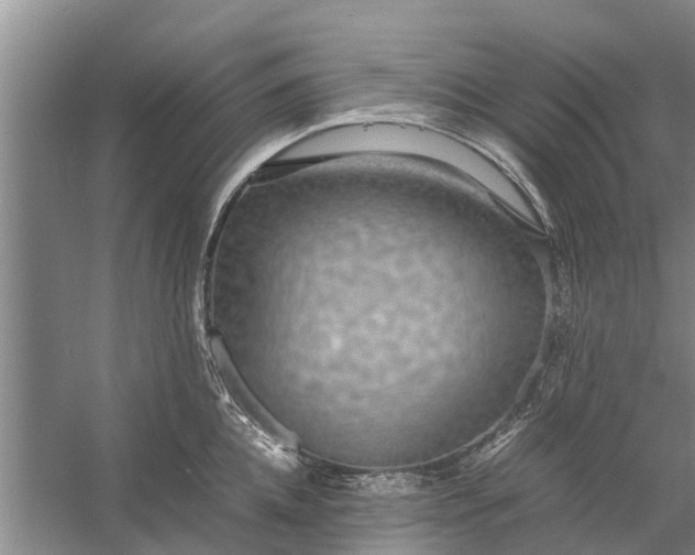 X0000058130952200510072002