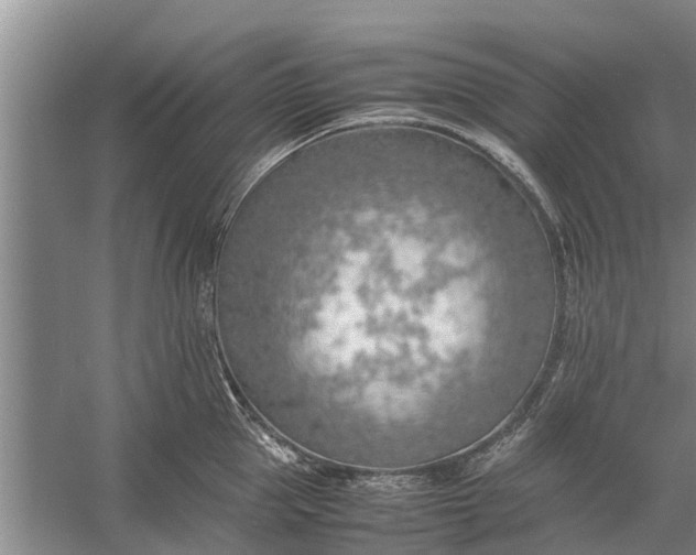 X0000058130953200510072002