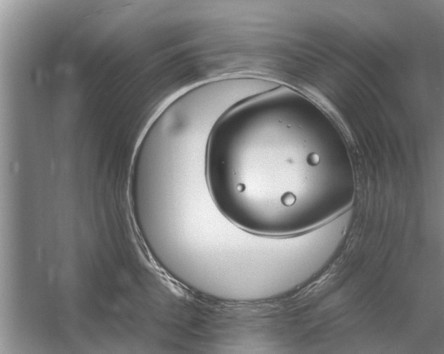 X0000058130956200510072002