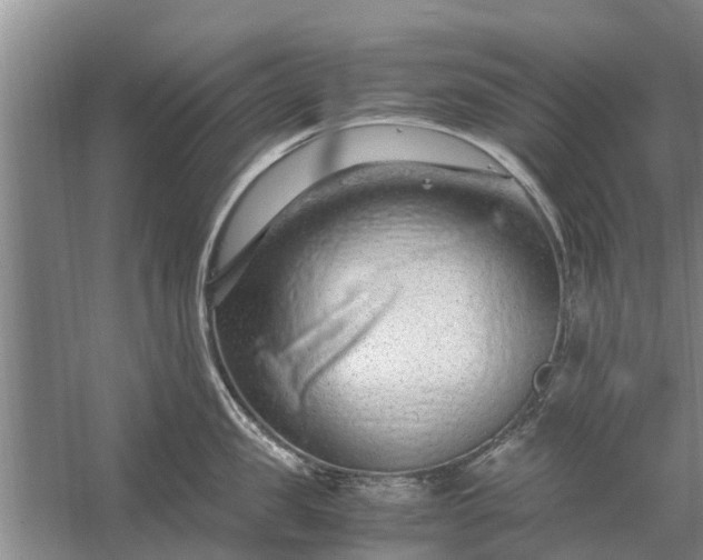 X0000058130957200510072002