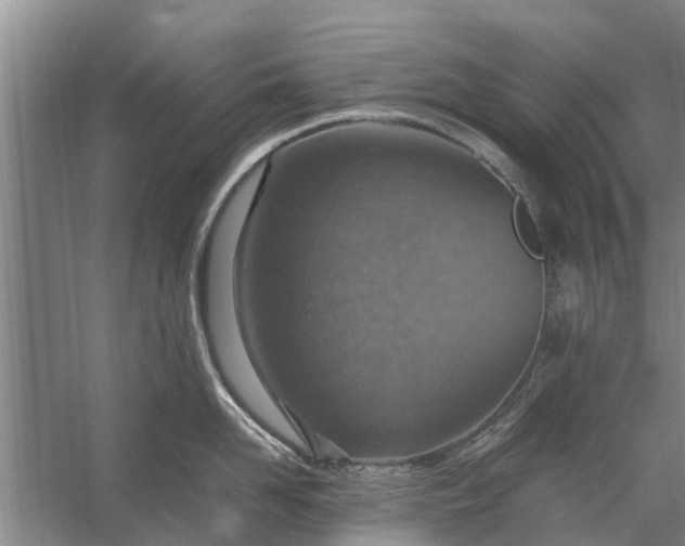 X0000058130958200510072002