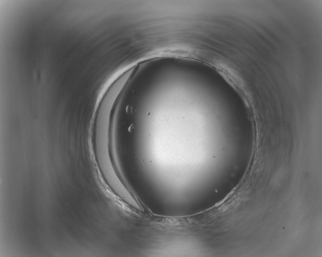 X0000058130960200510072002