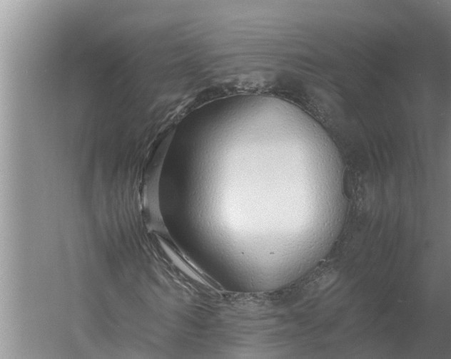 X0000058130962200510072001