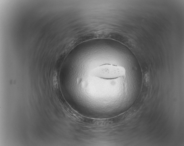 X0000058130963200510072001