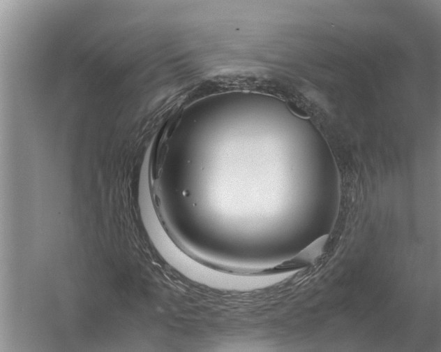 X0000058130965200510072001